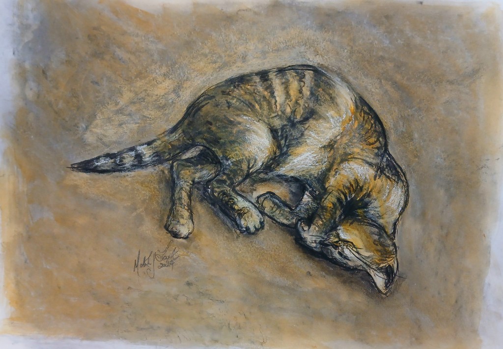 Sleeping cat on it's side in a foetal position with it's head turned upwards.